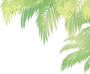 Tropical_ Palm_ Leaves_ Vector_ Background PNG