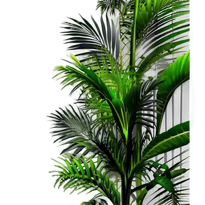 Tropical Palm Plant Png 75 PNG image