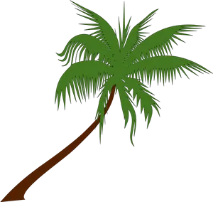 Tropical Palm Silhouette PNG image