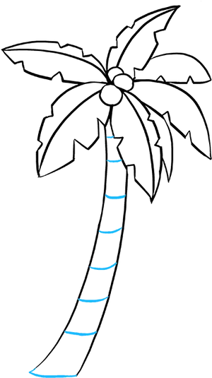 Tropical Palm Tree Line Art