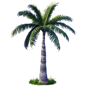 Tropical Palm Trees PNG 05042024