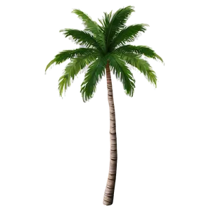 Tropical Palms Png 06112024 PNG image