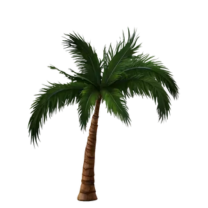 Tropical Paradise Summer PNG Seq