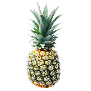 Tropical Pineapple Png 28 PNG image