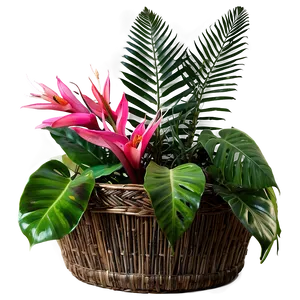 Tropical Plant Arrangement PNG 06252024 PNG