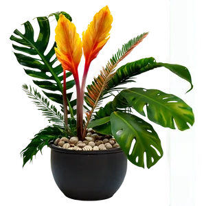 Tropical Plant Arrangement Png 56 PNG image