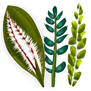 Tropical Plant Art Png Pwv15 PNG image