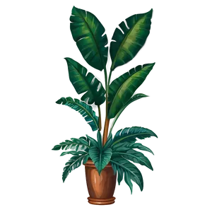 Tropical Plant Art PNG Qqb90 PNG