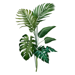 Tropical Plant Bouquet Png 86 PNG image