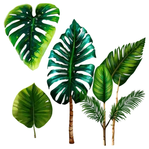 Tropical Plant Collection PNG 06252024 PNG