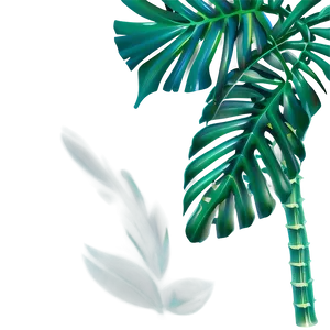 Tropical Plant Design PNG Pxd PNG