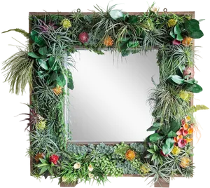 Tropical_ Plant_ Frame_ Mirror PNG image