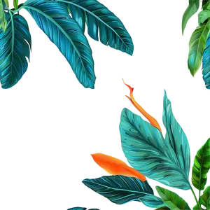 Tropical Plant Frames PNG 65 PNG