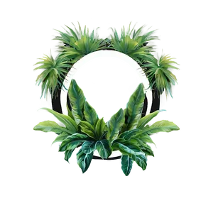 Tropical Plant Frames PNG Xvn PNG