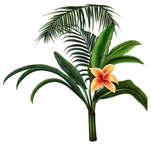 Tropical Plant Illustration Png 06272024 PNG image