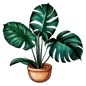 Tropical Plant Illustration Png 06272024 PNG image