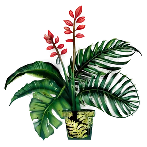 Tropical Plant Illustration Png 10 PNG image