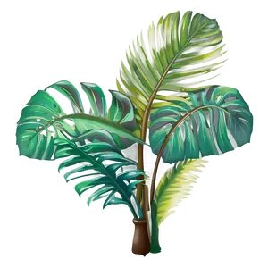 Tropical Plant Outline Png 06272024 PNG image