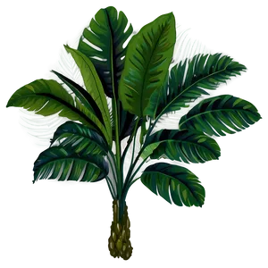 Tropical Plant PNG 81