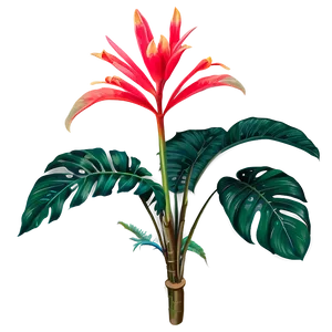 Tropical Plant Set PNG 06252024