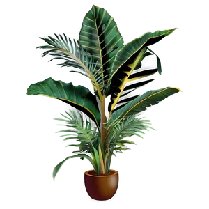 Tropical Plant Set Png 42 PNG image