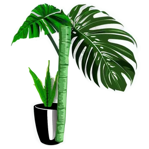 Tropical Plant Silhouette Png 06272024 PNG image