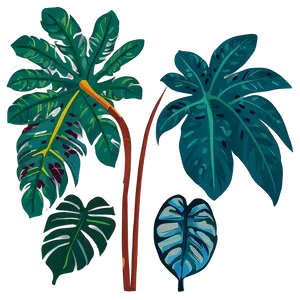 Tropical Plant Vector PNG Mxi PNG