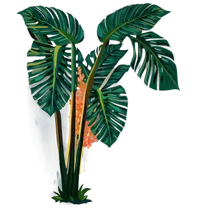 Tropical Plant Vectors PNG Wdk92