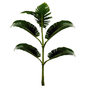 Tropical Plant Wallpaper PNG Qqa PNG