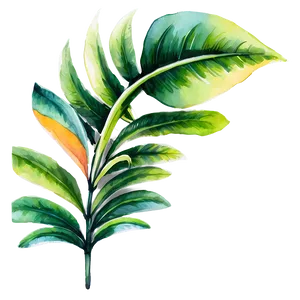 Tropical Plant Watercolor PNG 13 PNG