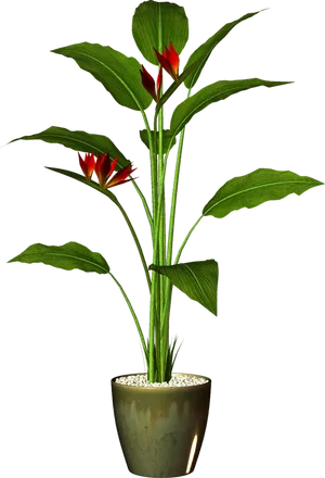 Tropical Plantin Green Pot PNG image