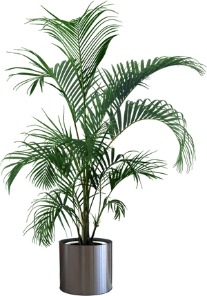 Tropical Plantin Silver Pot PNG image