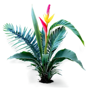 Tropical Plants PNG Hov99