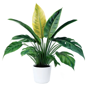 Tropical Plants PNG Jke24