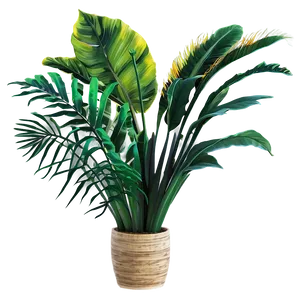 Tropical Plants PNG Vta1