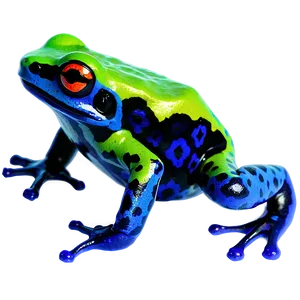 Tropical Poison Dart Frog Png 62 PNG image