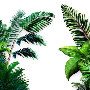 Tropical Rainforest Trees Png 06262024 PNG image