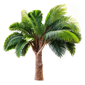 Tropical Rainforest Trees Png Gjp PNG image