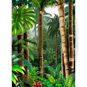 Tropical Rainforest View Png 46 PNG image