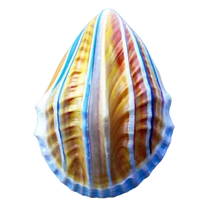 Tropical Seashell Design PNG 88