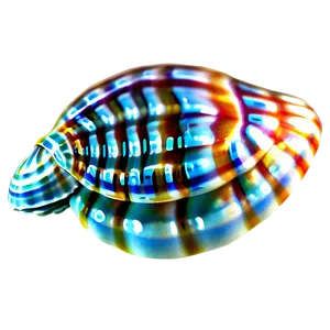 Tropical Seashell Design PNG Oxx