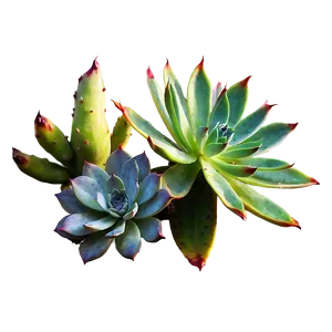 Tropical Succulents Selection PNG 06212024 PNG