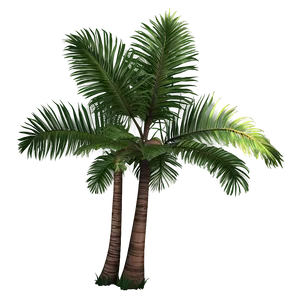 Tropical Summer Vibes Png 06252024 PNG image