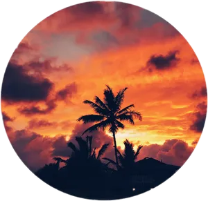 Tropical_ Sunset_ Glow PNG image