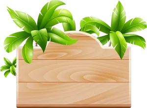 Tropical Tree Folder Icon PNG