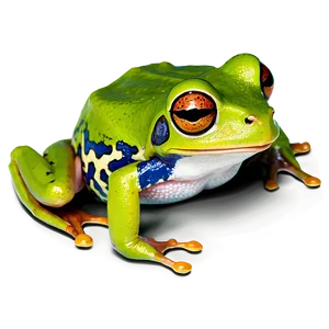 Tropical Tree Frog Png 36 PNG image