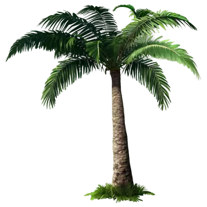 Tropical Trees PNG 05042024