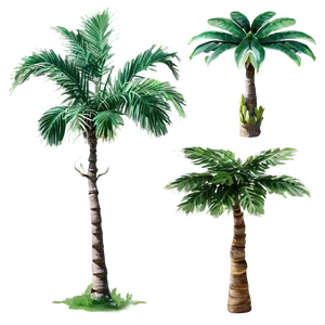 Tropical Trees PNG Usv8