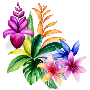 Tropical Watercolor Flowers PNG Rmj52 PNG
