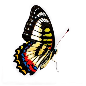 True To Life Butterfly PNG 06262024 PNG